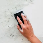 Kalkaanslag en schimmel verwijderen van badkameroppervlak